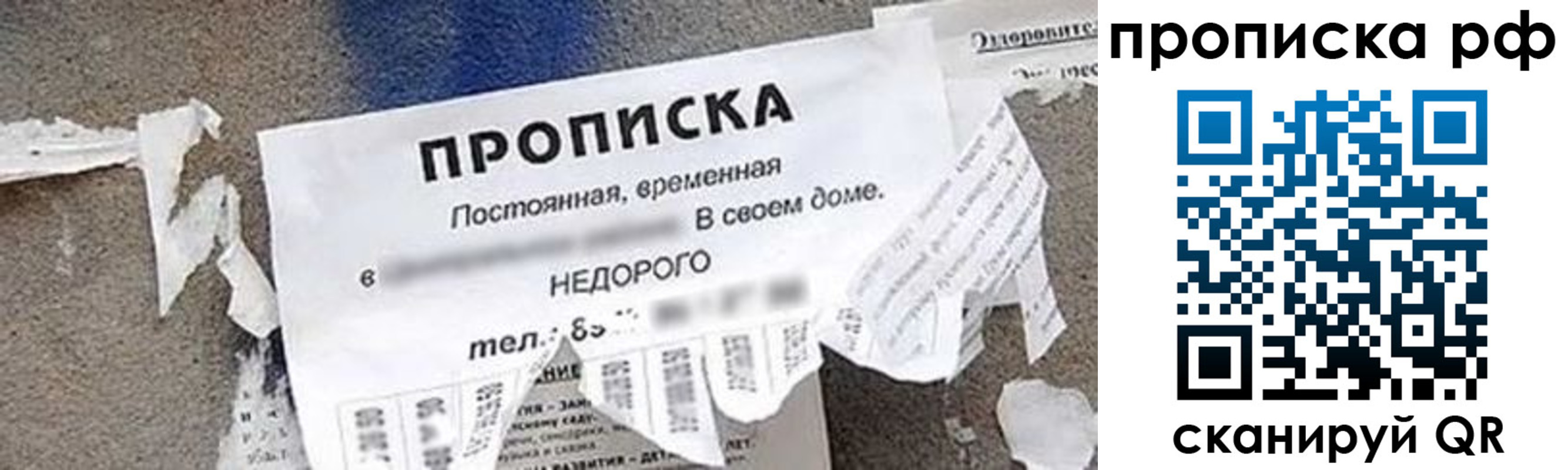 где прописаться в Новом Осколе